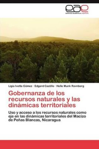 Cover of Gobernanza de Los Recursos Naturales y Las Dinamicas Territoriales