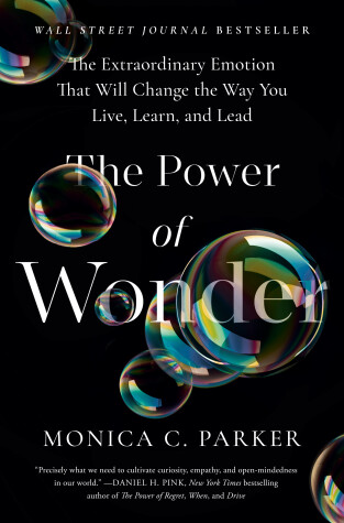 Book cover for The Power of Wonder