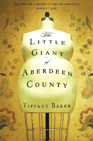 Cover of The Little Giant of Aberdeen County