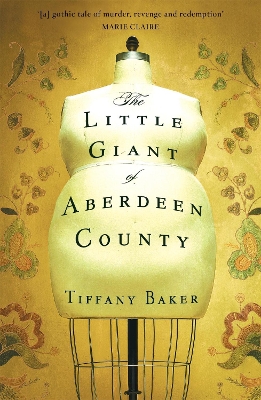 Book cover for The Little Giant of Aberdeen County