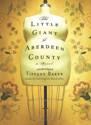 Book cover for The Little Giant of Aberdeen County