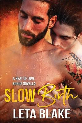 Book cover for Slow Birth
