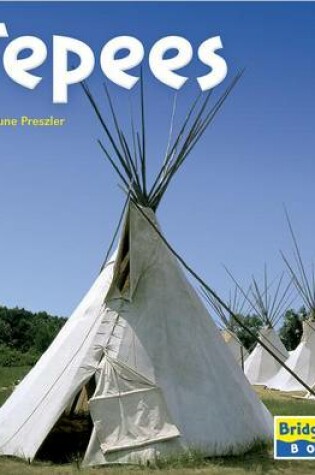 Cover of Tepees