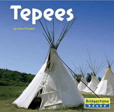 Book cover for Tepees