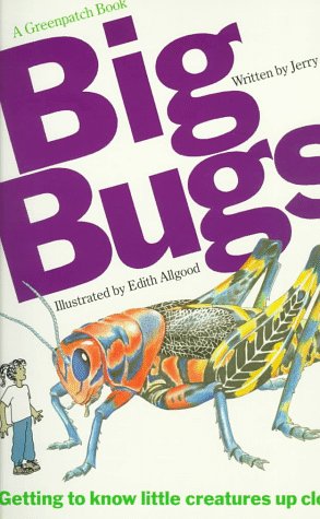 Cover of Big Bugs