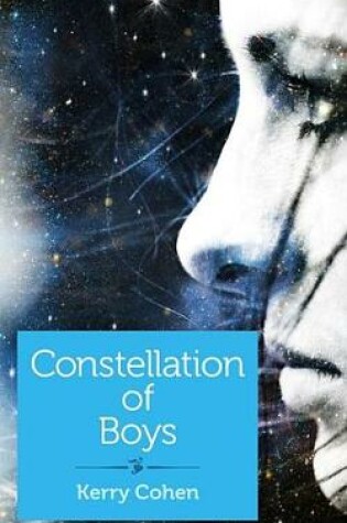 Cover of Constellation of Boys