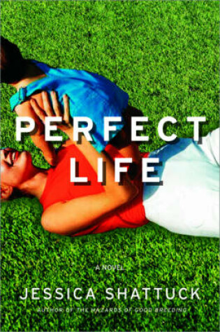 Cover of Perfect Life