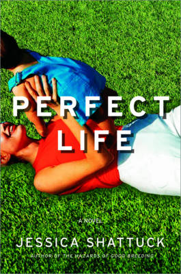 Book cover for Perfect Life