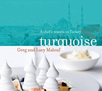 Book cover for Turquoise
