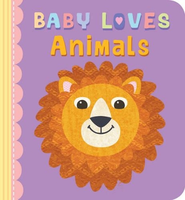Book cover for Baby Loves Animals