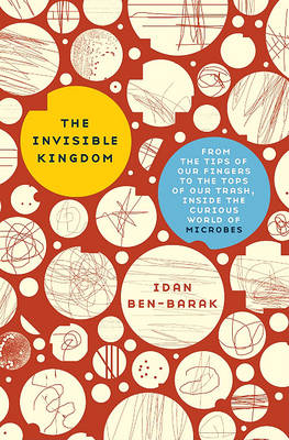 Book cover for The Invisible Kingdom