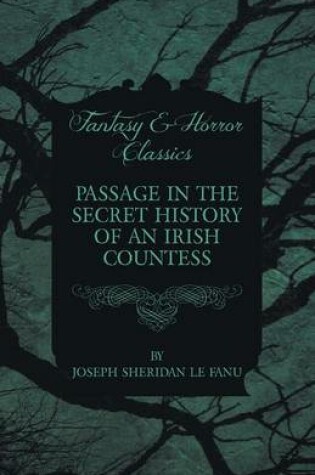 Cover of Passage in the Secret History of an Irish Countess