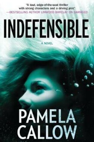 Cover of Indefensible