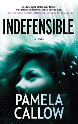 Book cover for Indefensible