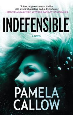 Cover of Indefensible