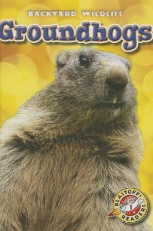 Cover of Groundhogs