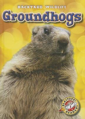 Cover of Groundhogs