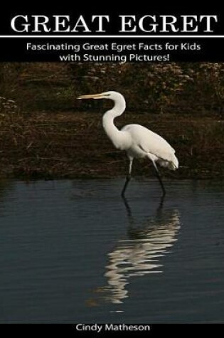 Cover of Great Egret