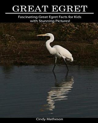 Book cover for Great Egret