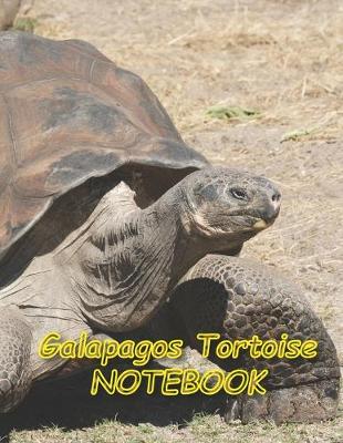 Book cover for Galapagos Tortoise NOTEBOOK