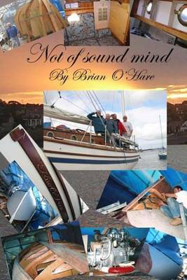 Book cover for Not of sound mind