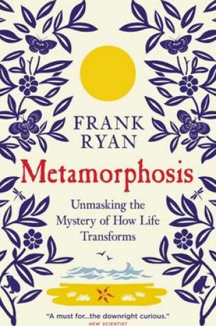 Cover of Metamorphosis