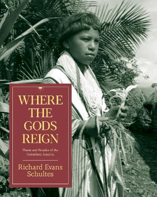 Book cover for Where the Gods Reign