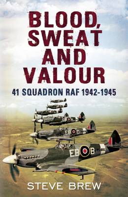 Book cover for Blood, Sweat and Valour