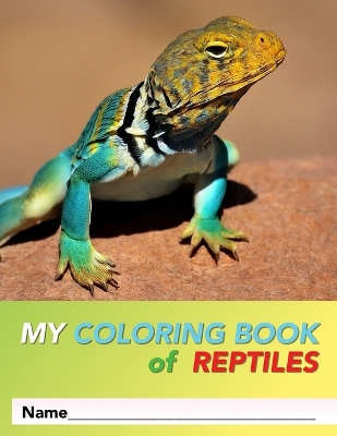 Book cover for My Coloring Book Of Reptiles