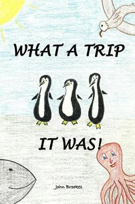 Book cover for What A Trip It Was