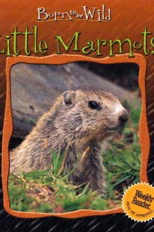 Cover of Little Marmots