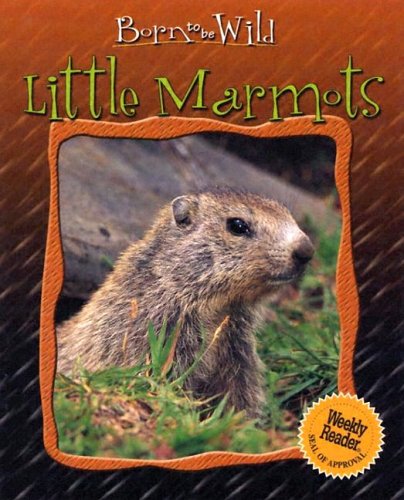 Cover of Little Marmots