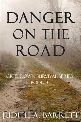 Book cover for Danger on the Road