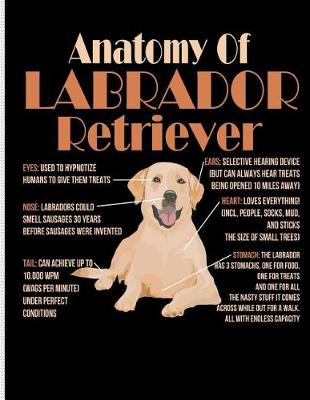 Book cover for Anatomy of Labrador Retriever