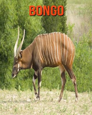 Book cover for Bongo