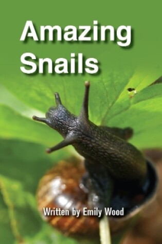 Cover of Amazing Snails