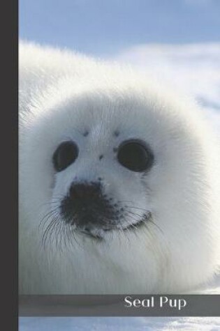 Cover of Seal Pup