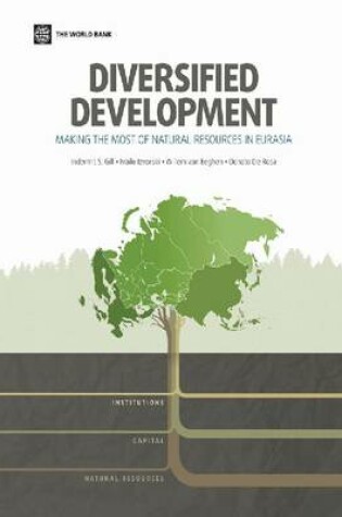 Cover of Diversified development