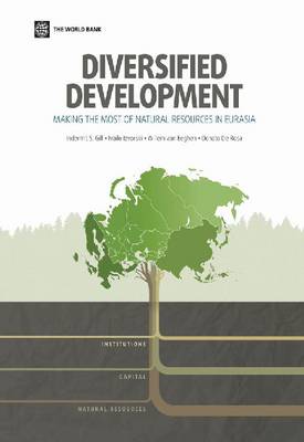 Book cover for Diversified development