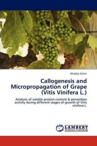 Cover of Callogenesis and Micropropagation of Grape (Vitis Vinifera L.)