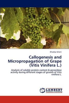 Book cover for Callogenesis and Micropropagation of Grape (Vitis Vinifera L.)