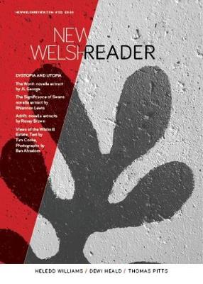 Book cover for New Welsh Reader