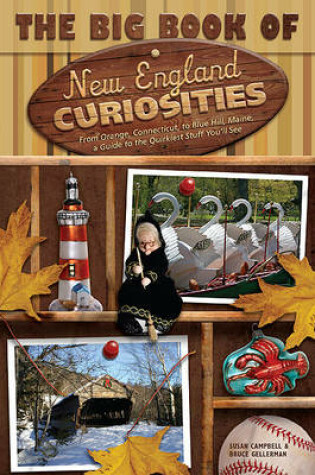 Cover of The Big Book of New England Curiosities