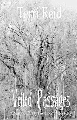 Cover of Veiled Passages