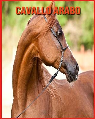 Book cover for Cavallo Arabo