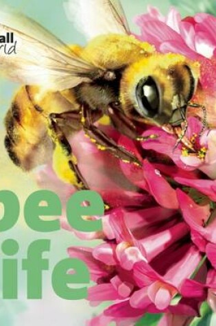Cover of Bee Life