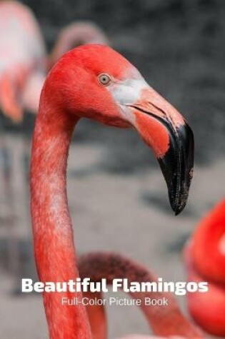 Cover of Beautiful Flamingos Full-Color Picture Book