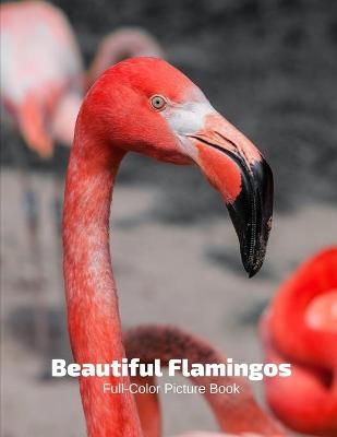 Book cover for Beautiful Flamingos Full-Color Picture Book