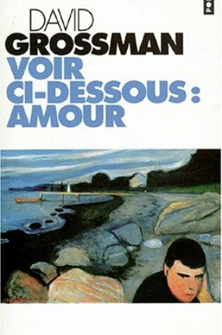 Cover of Voir CI-Dessous