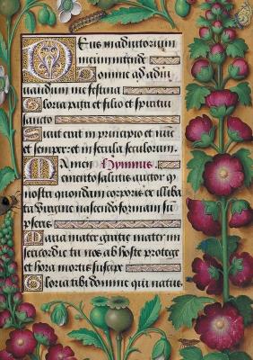 Book cover for Carnet Lign� Heures Anne de Bretagne, Roses